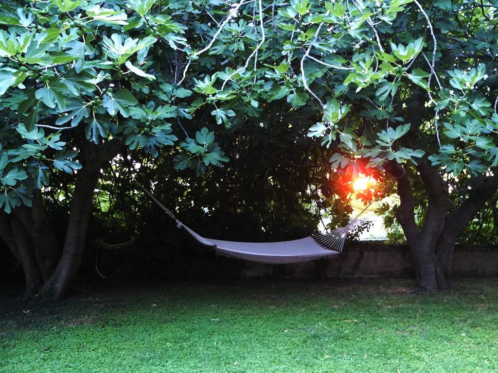 Agriturismo Locanda Pantanello بيتيجليانو المظهر الخارجي الصورة