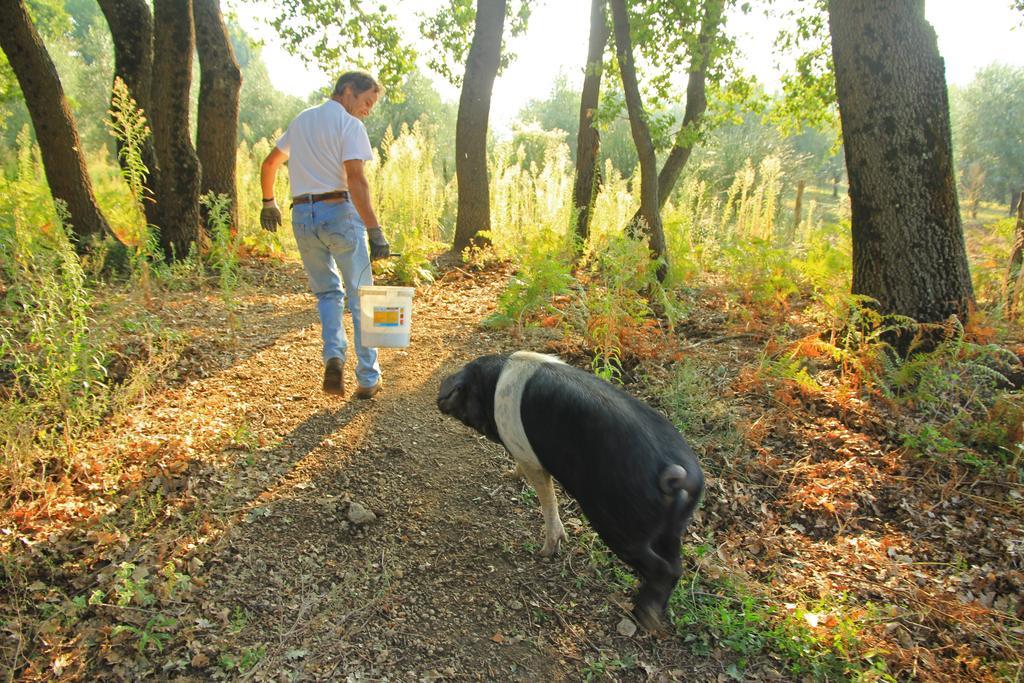 Agriturismo Locanda Pantanello بيتيجليانو المظهر الخارجي الصورة