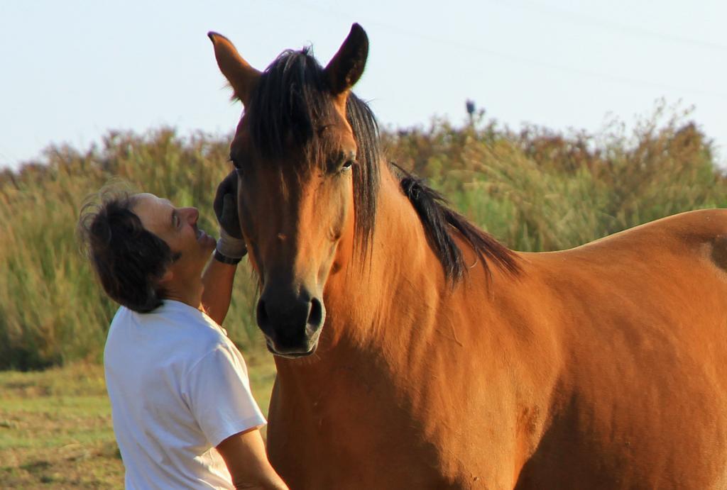 Agriturismo Locanda Pantanello بيتيجليانو المظهر الخارجي الصورة